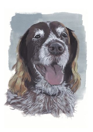 Watercolour Spaniel Dog Pet Portrait