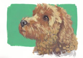 Watercolour Pet Portrait Cockapoo
