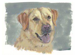 Watercolour Labrador Dog Pet Portrait