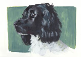 Watercolour Pet Portrait Haku