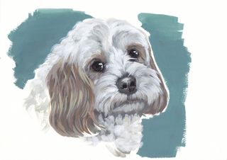Portrait thumbnail